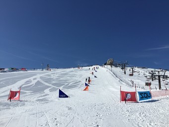 IMG_8484.jpg